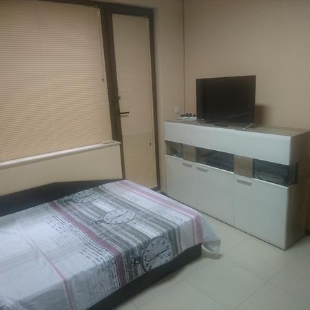 Studio Iren Apartment Pleven Bagian luar foto